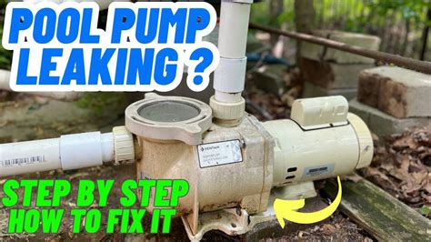 above ground pool pump leaking|How to fix a leaking pool pump